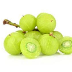 Amla-Extrakt