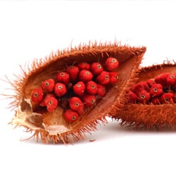 Anatto extract