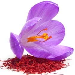 Crocus extract