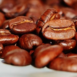 Coffea Arabica Seed Extract