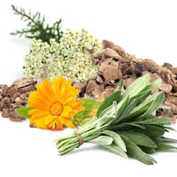 Phytoestrogen complex