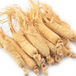 Ginseng extract