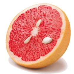 Grapefruit seed extract