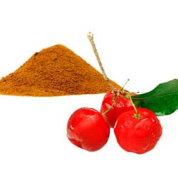 Acerola berry powder