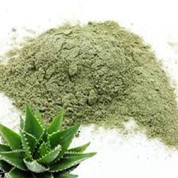 Aloe vera leaf juice powder