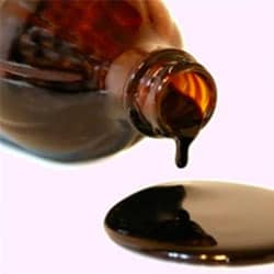 Resveratrol bioferment