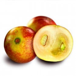 Camu camu extract