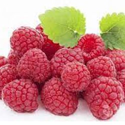 Raspberry extract