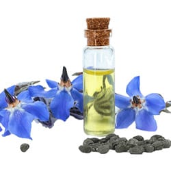 Borage seed oil