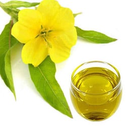 Evening primrose oil