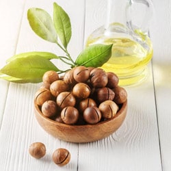 Organic Macadamia seed oil