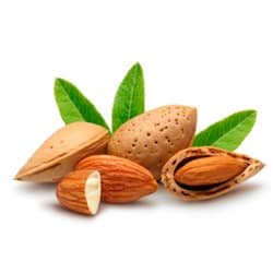 Organic Sweet almond oil