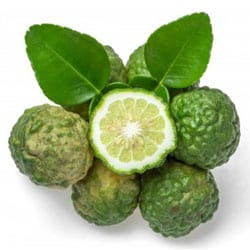 Organic Bergamot oil