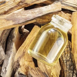 Guajak wood oil