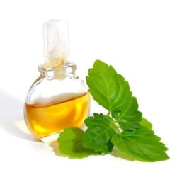 Patchouli oil