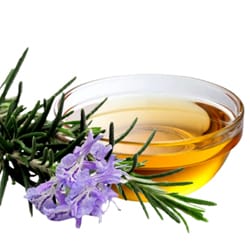 Organic Rosemary oil