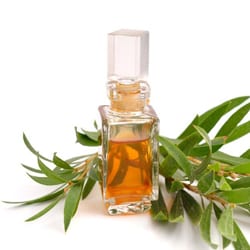 Tea tree oil
