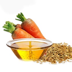 Carrot seed oil