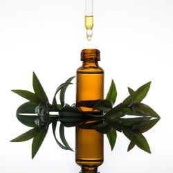 Myrte oil