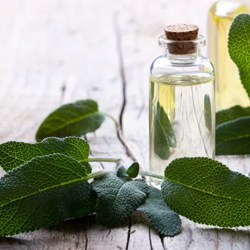 Sage oil
