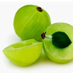 Grape fruit / seed extract