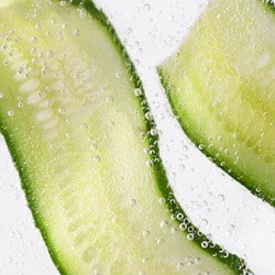Organic Cucumber extract