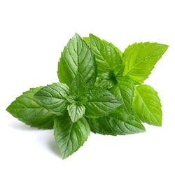 Organic Peppermint water
