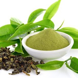 Organic Green tea leaf extract